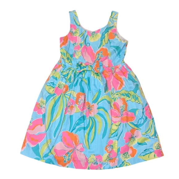 Lilly Pulitzer Gorgeous 🥰 Print Summer Dress Size 10 - Picture 1 of 7